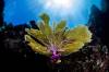 _DSC1538